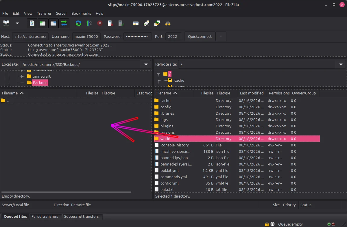 FileZilla downloading world